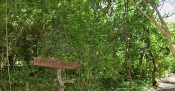 كاسان Bakwena Lodge المظهر الخارجي الصورة